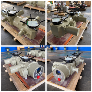 閥門電動裝置價格DZW180-24，380VAC